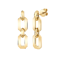 Shay Solid Geo Flat Link Earrings